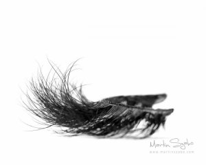 Product Photography Vancouver--11