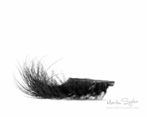 Product Photography Vancouver--14