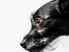 Glamour-Pet-Photography-Vancouver-3