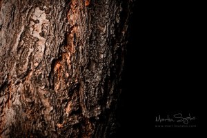 _MG_7291-High Pass-Exposure